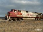 BNSF 738
